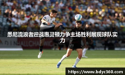 悉尼流浪者迎战惠灵顿力争主场胜利展现球队实力